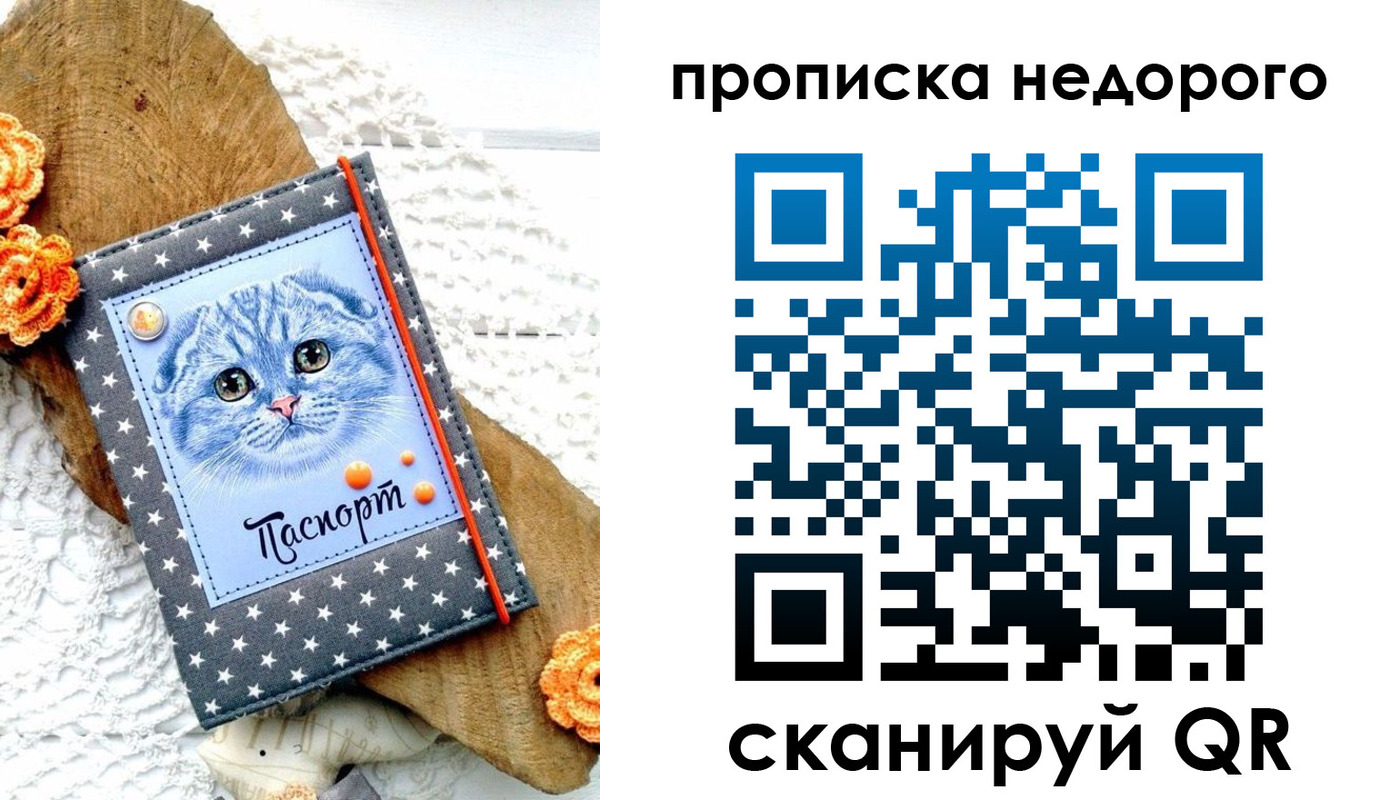 временная регистрация надежно в Зернограде